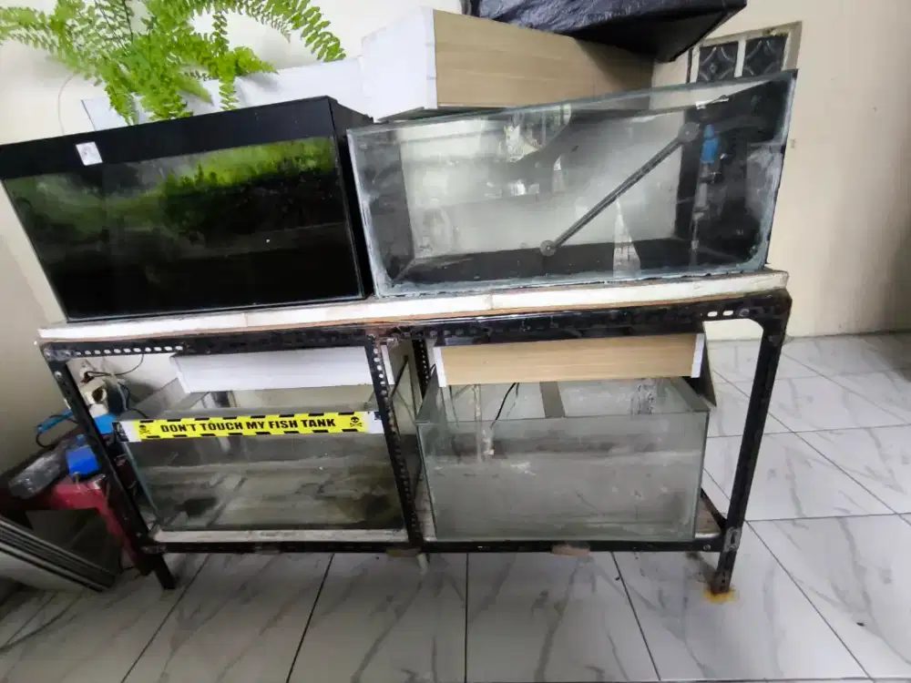 Akuarium Ikan + Rak