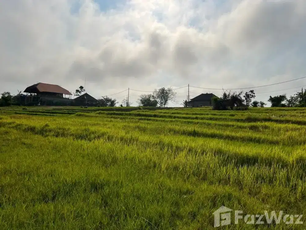 Land for sale in Cemagi, Bali