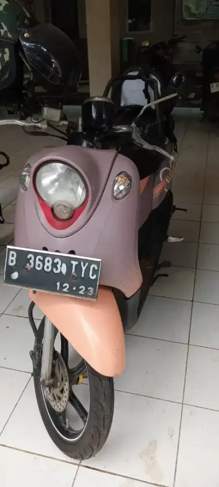 Mio fino karbu  2013