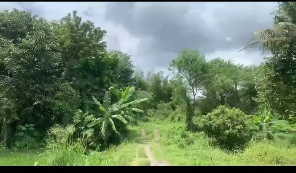 Tanah SHM Pekarangan di sleman