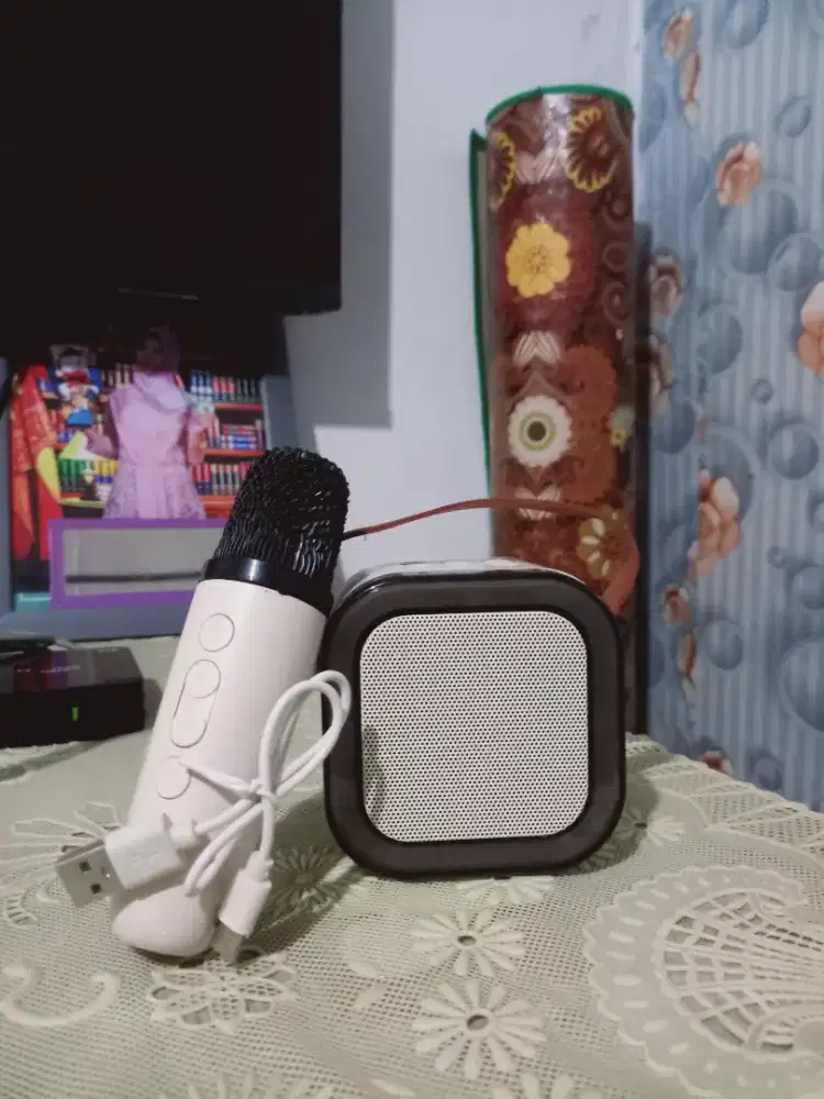 Wireless Karaoke Speaker