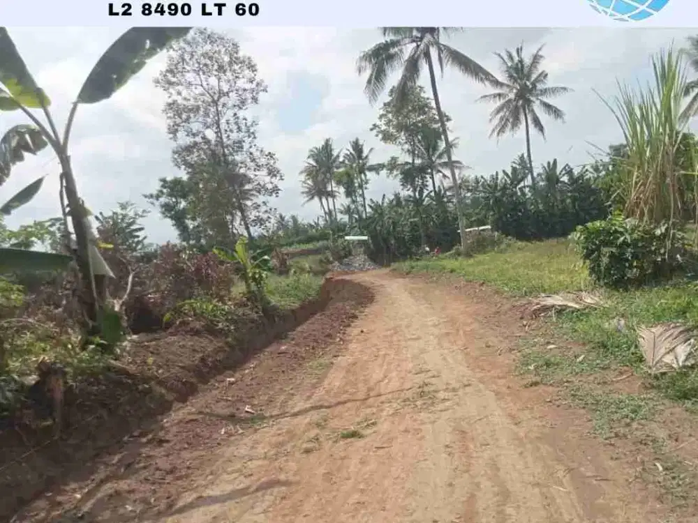 tanah dijual di Sukoanyar Pakis Kab Malang