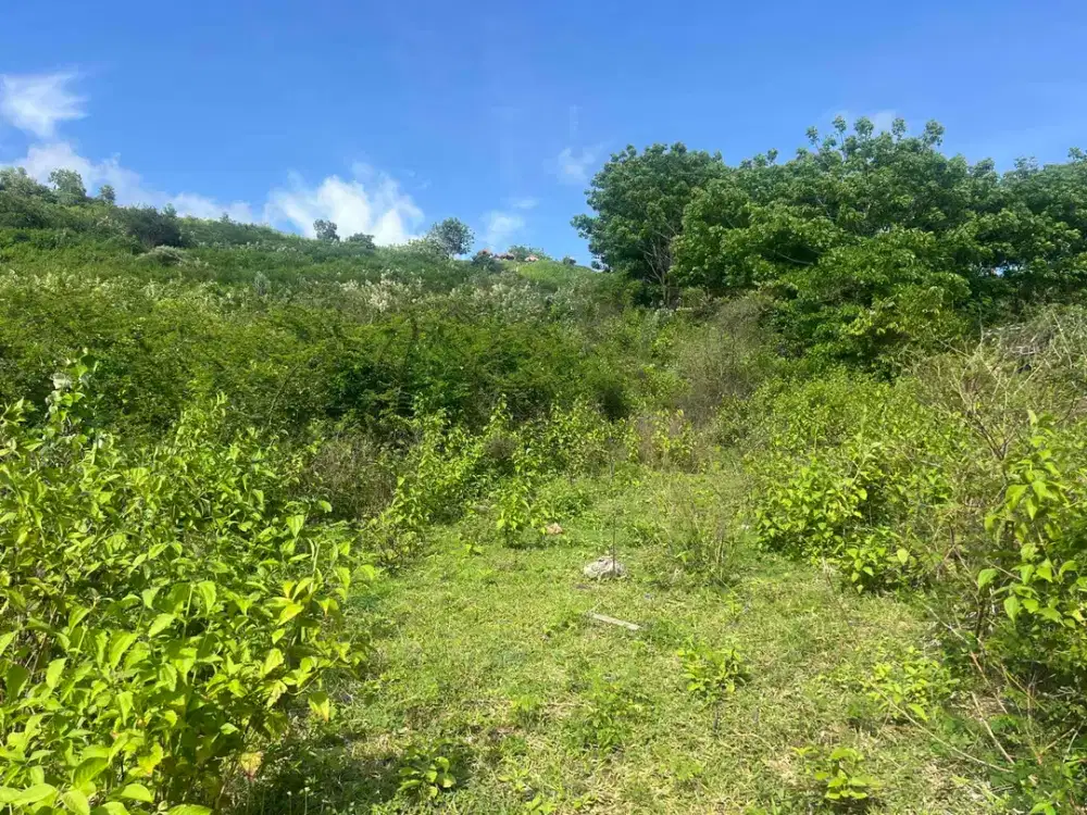 tanah murah di Prabu kuta Mandalika Lombok. Cocok untuk villa