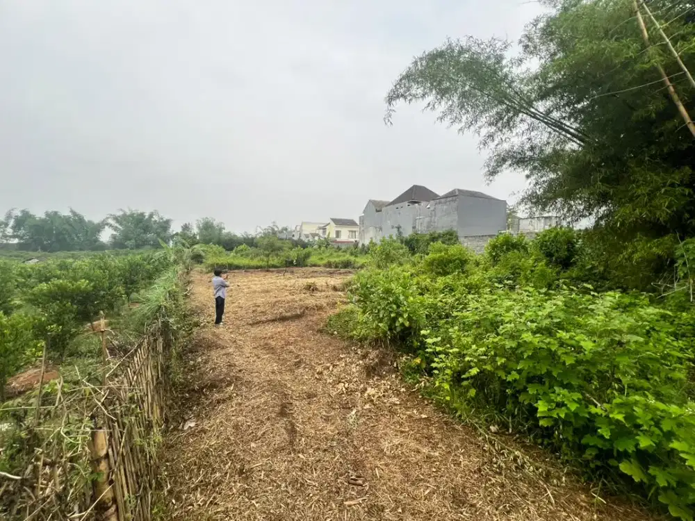Bebas Banjir Area Landungsari Legalitas aman Tanah Kavling