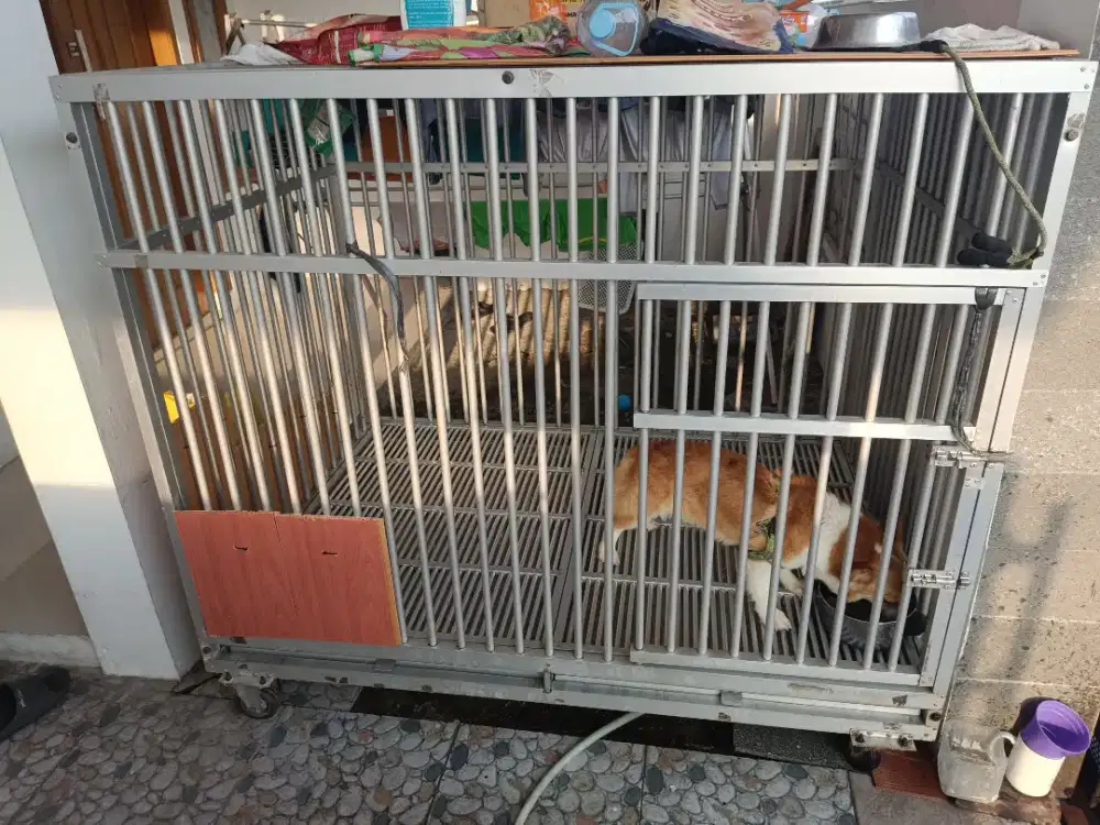 For Sale kandang anjing/kucing