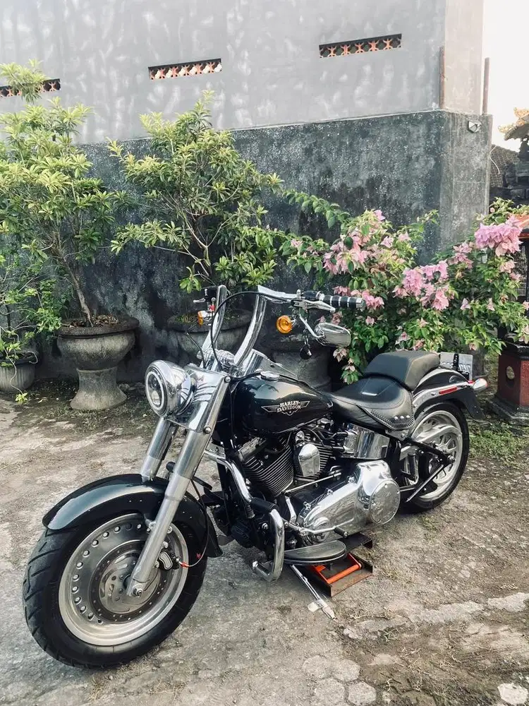 Harley davidson fat boy
