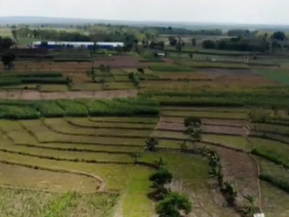 Dijual Lahan Zona Merah Industri Lokasi Grobogan,Jawa tengah Luas 100 Hektar