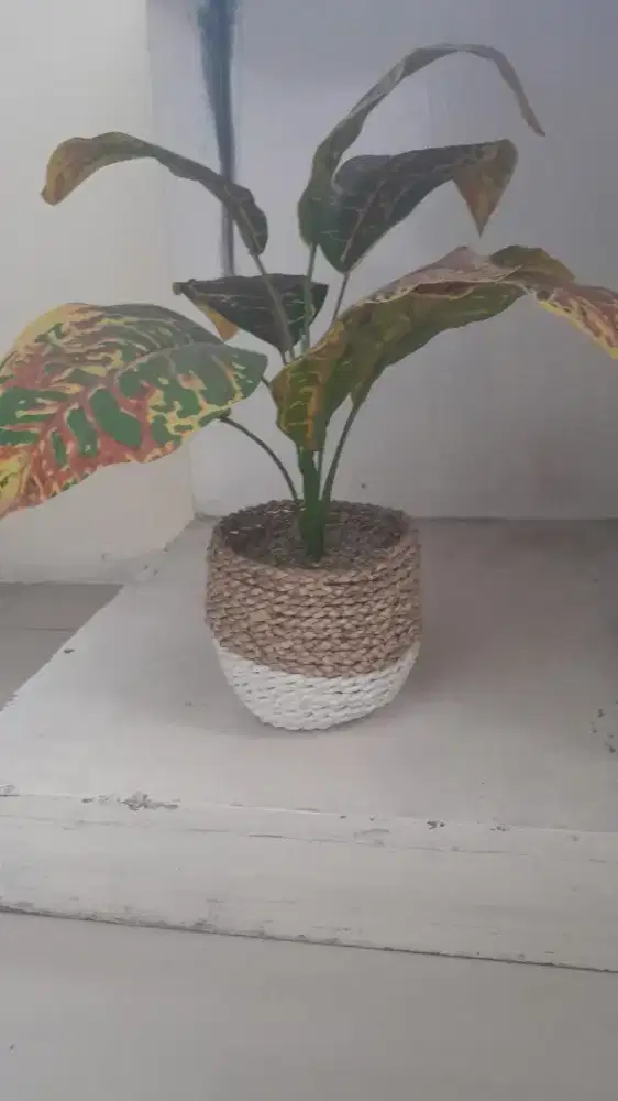 GARDEN CROTON TREE ARTIFICIAL
Tanaman Hias dengan Cover Pot Seagrass