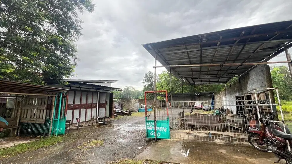 JUAL TANAH DEPAN JALAN RAYA PROVINSI (NEGOTIABLE)