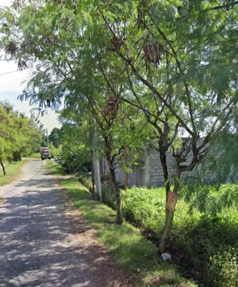 TANAH 2,5 ARE PANTAI KEDUNGU KEPANTAI HANYA JLN KAKI