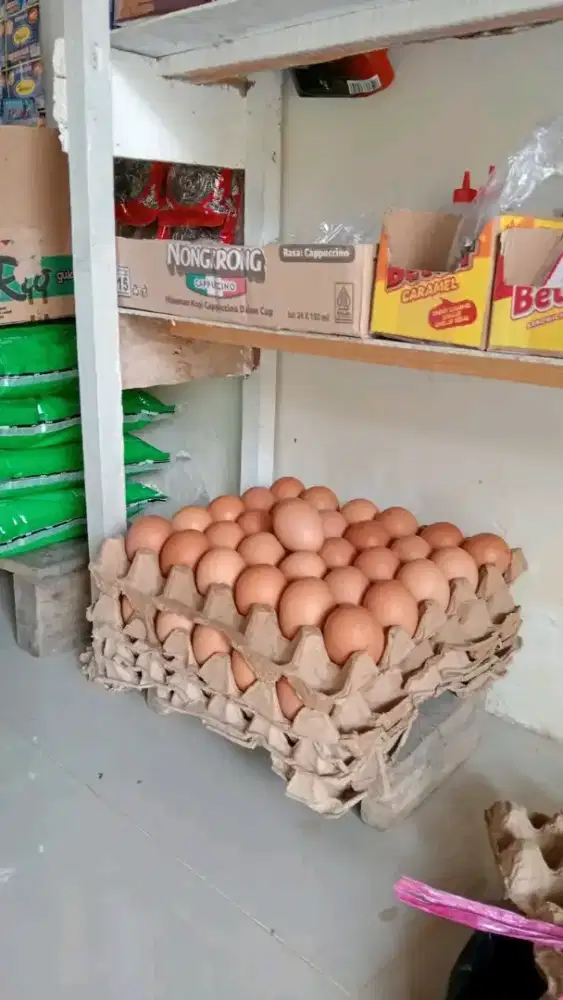 Butuh karyawan driver