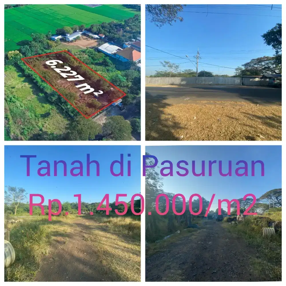 Tanah Murah Luas Strategis di Pohjentrek Pasuruan Jawa Timur