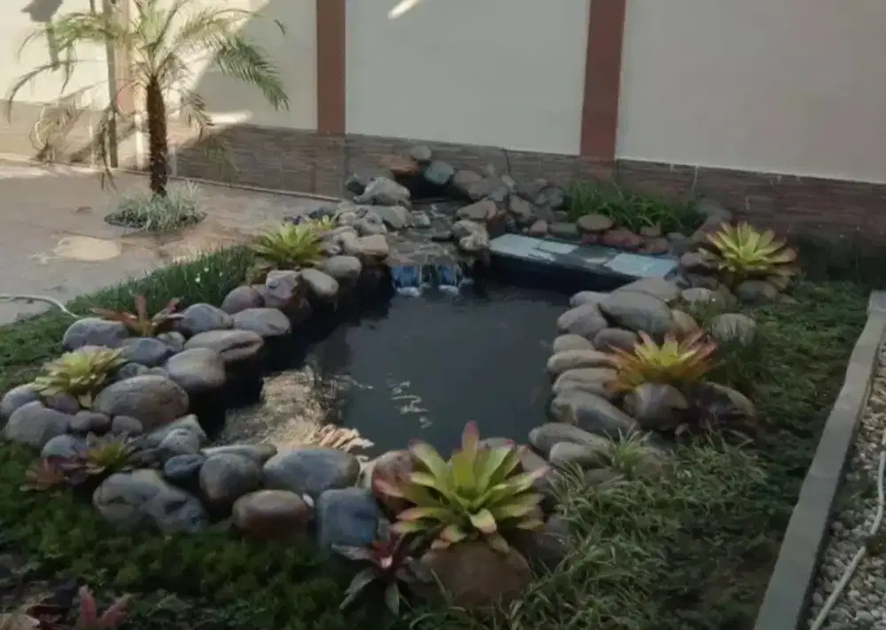 Spesialis pembuat Taman dan kolam ikan koi