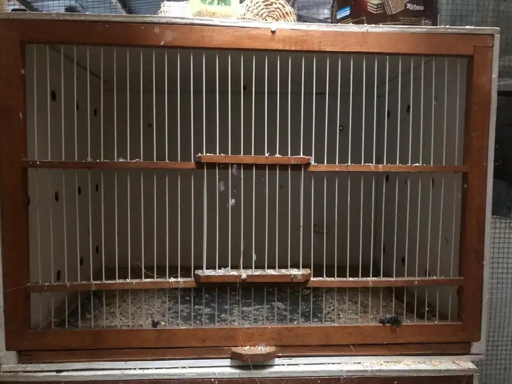 Kandang ternak finch