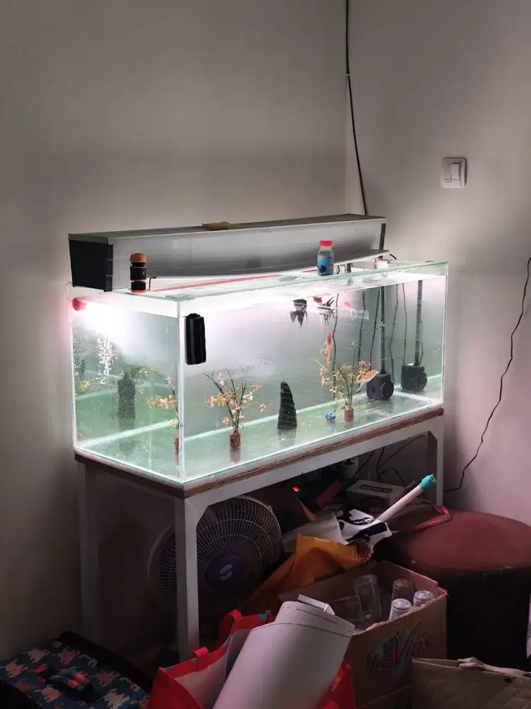 Tank Fullset 100 x 40 x 40 Bonus Rak Holo