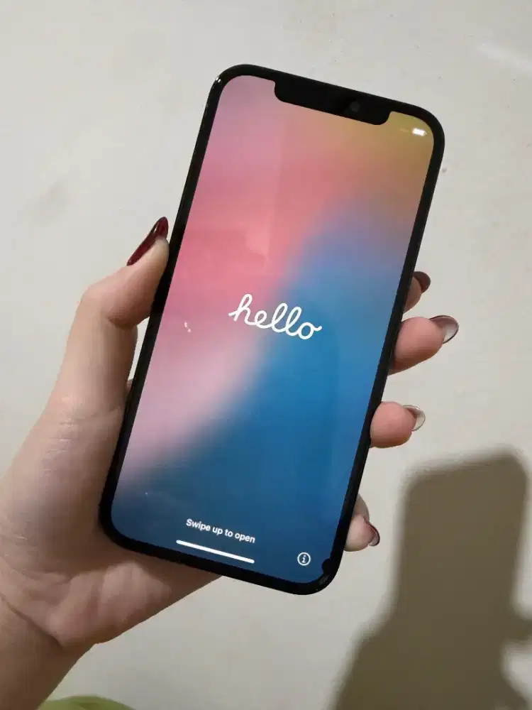 Iphone 12 pro 256 ex inter