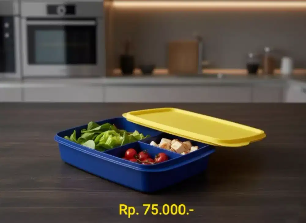Tupperware Lunch Box