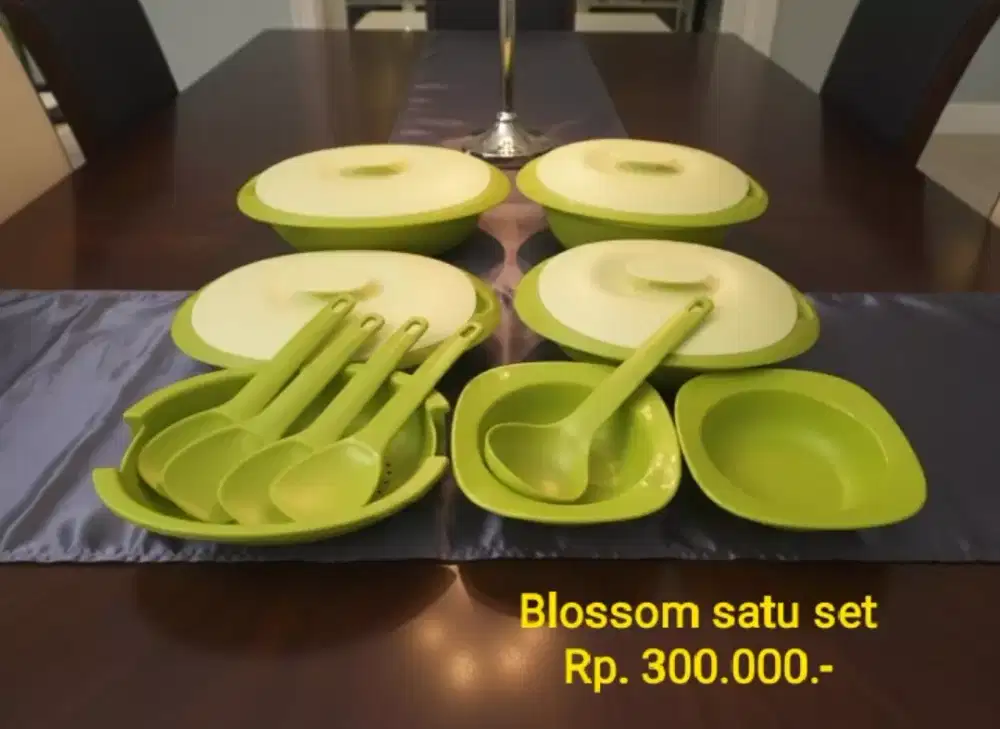 Tupperware Blossom Set
