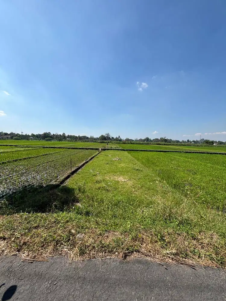 Dijual Sawah SHM 485 m² Dekat Pasar Rewulu & Calon MAPOLDA – Lokasi St