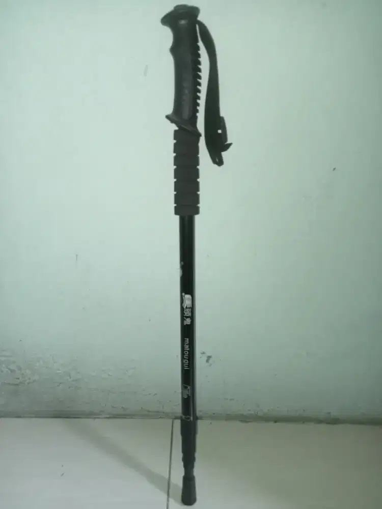 Tracking pole hiking