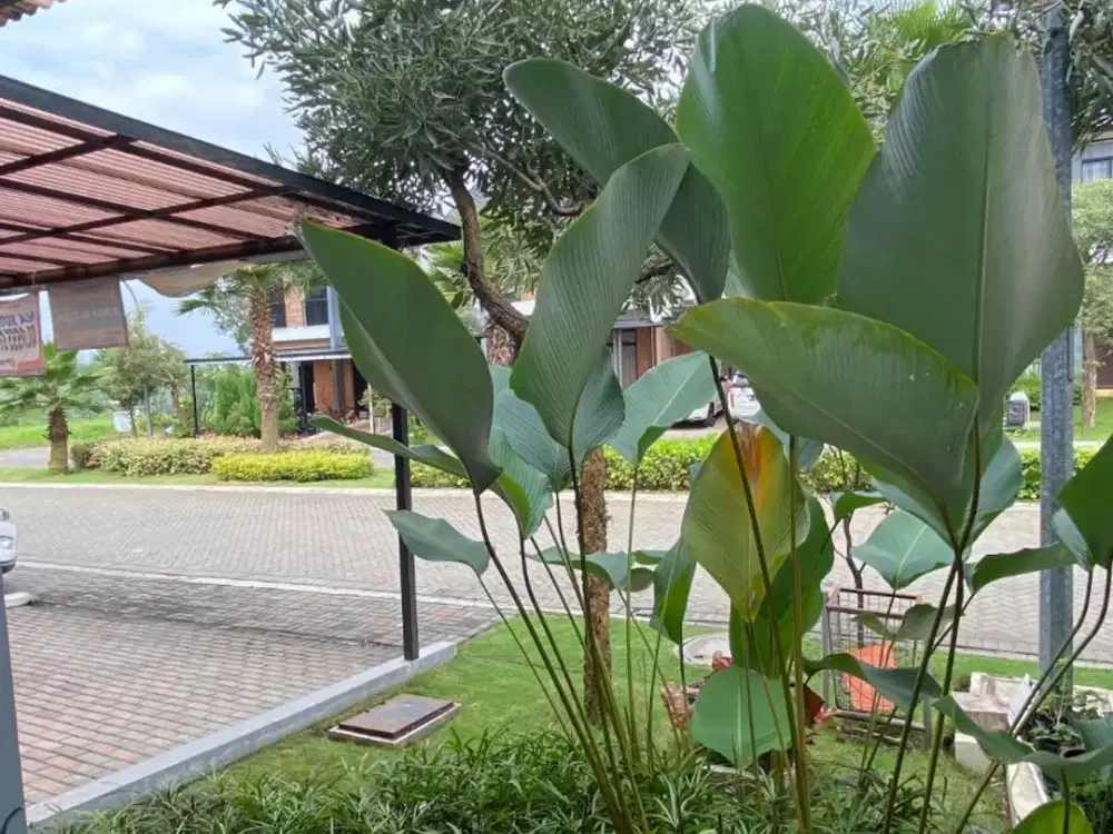 Dijual Rumah di Tatar Lokacitra, Kota Baru Parahyangan Bandung Luas dan Siap Huni