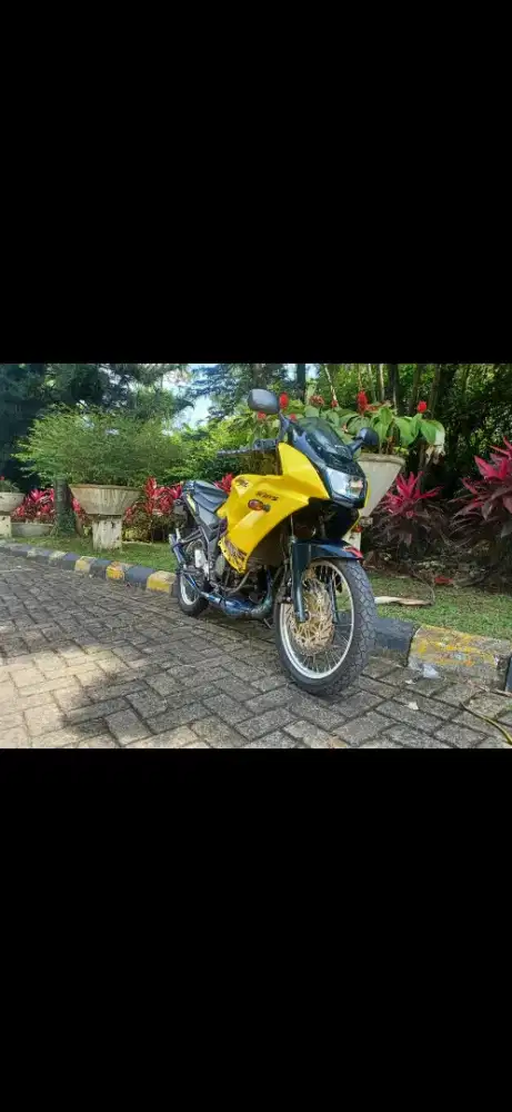 Ninja RR new Kuning