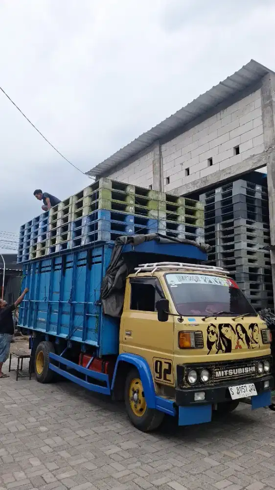 Pallet Plastik Second like new dan baru