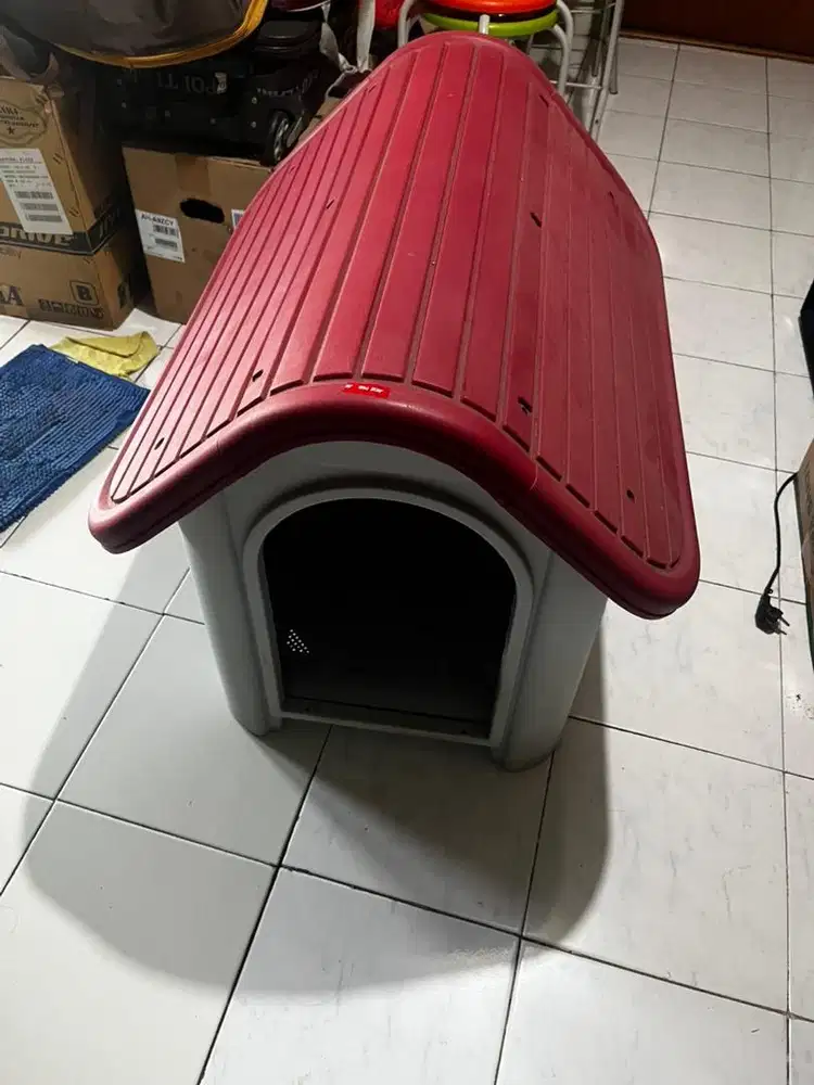 Rumah doggy dogy anjing lucu ace hardware