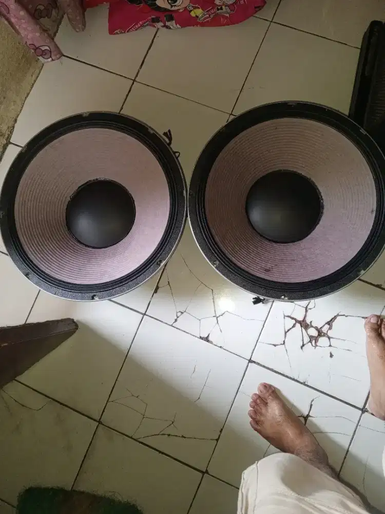 Jual speaker 18 inch BW black window