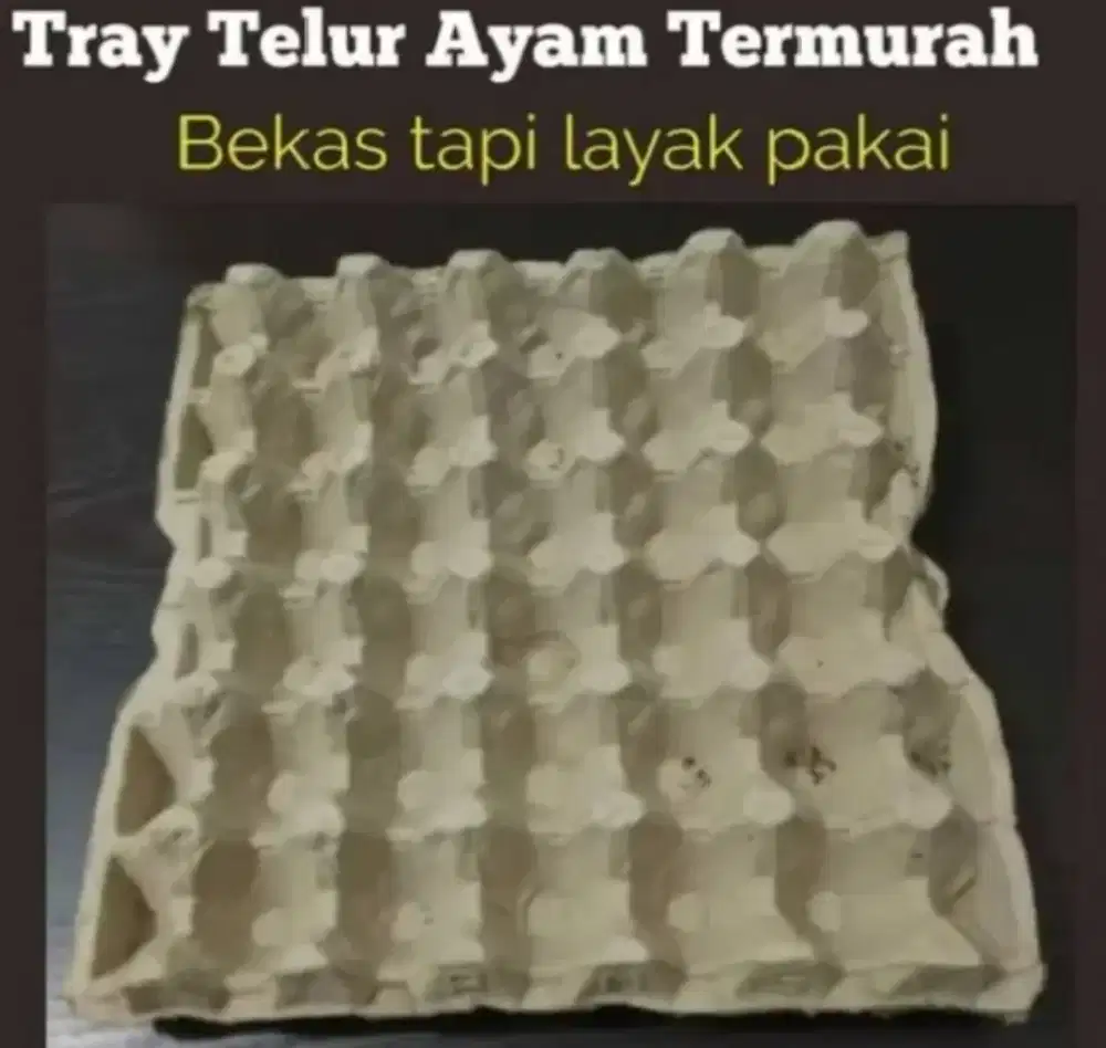 Egg tray ( tempat telur karton )