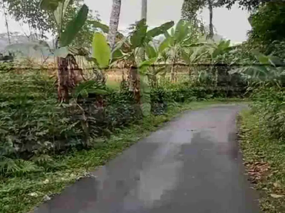 tanah berbentuk sawah