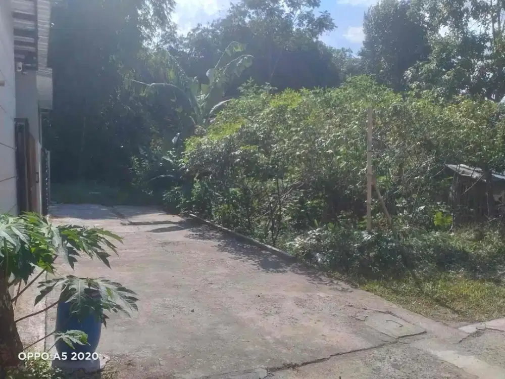 Dijual Tanah Luas Murah di Tegalrejo Kenteng Salatiga