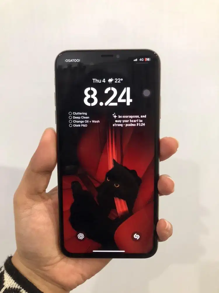 Ipgone XS Max 256gb alloperator