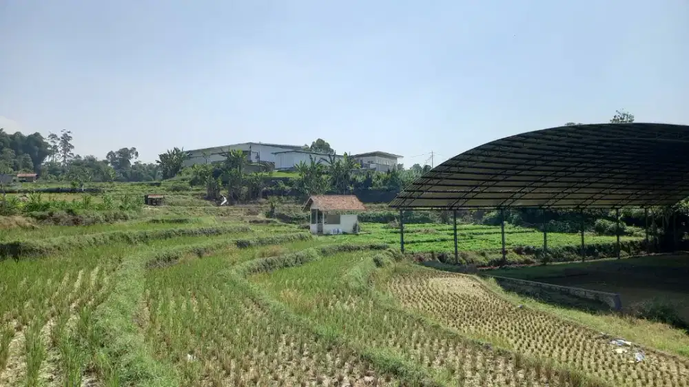 Tanah Luas Dekat Pasar & Wisata Ciwidey – Siap Investasi, Harga Nego