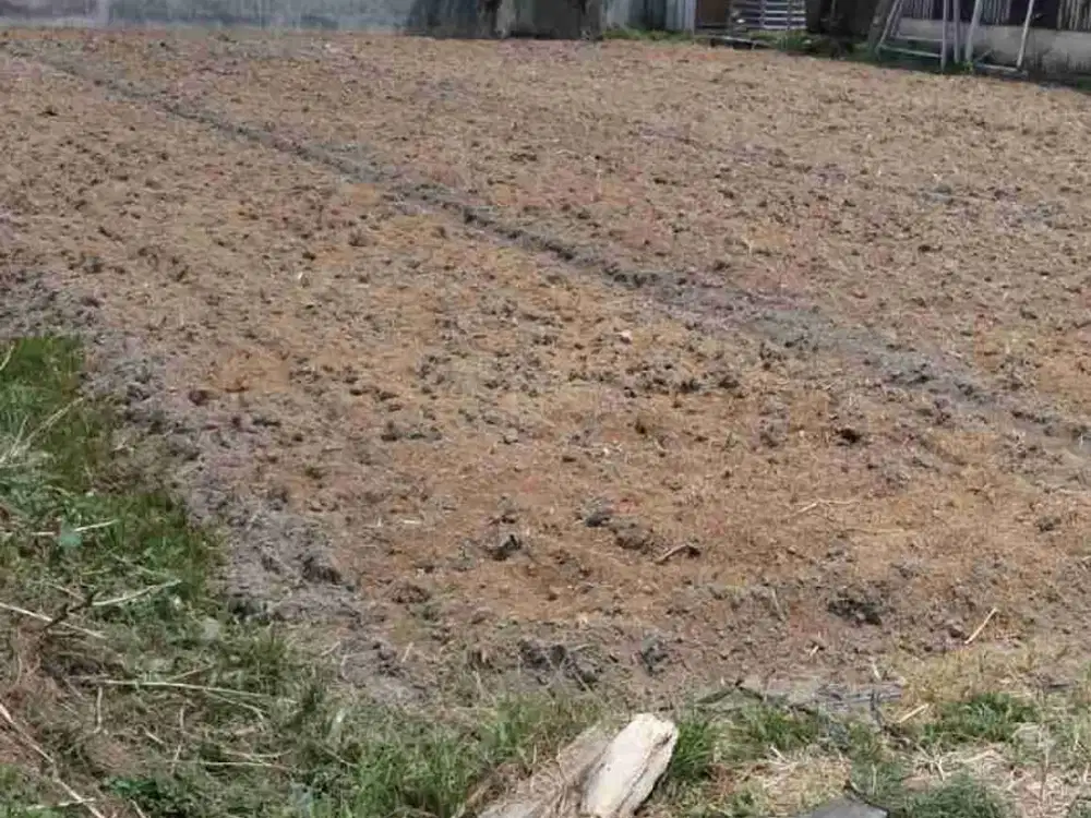 Tanah cantik di Kartama Marpoyan masuk jl Jahe