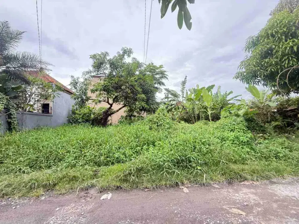 Tanah di Munggu dekat Pantai Seseh dan ke Canggu Bali