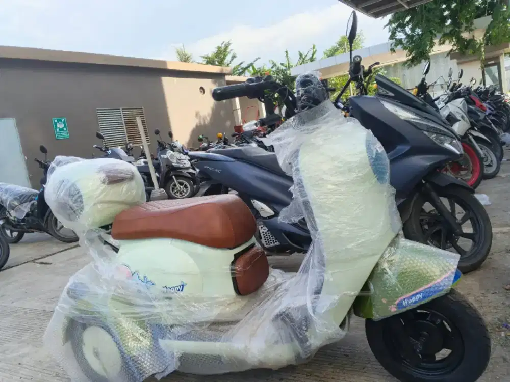 Sepeda Listrik Roda 3 V1 PCSY Tricycle E Bike -