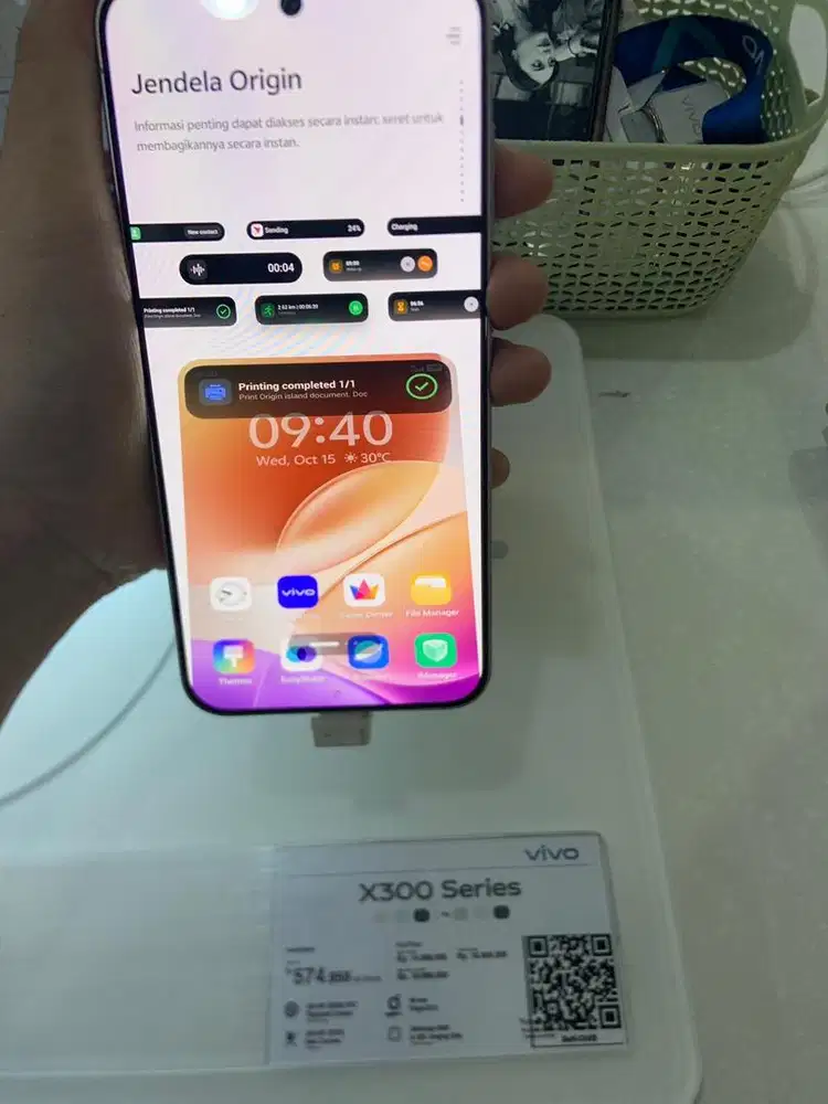 Vivo x300 series