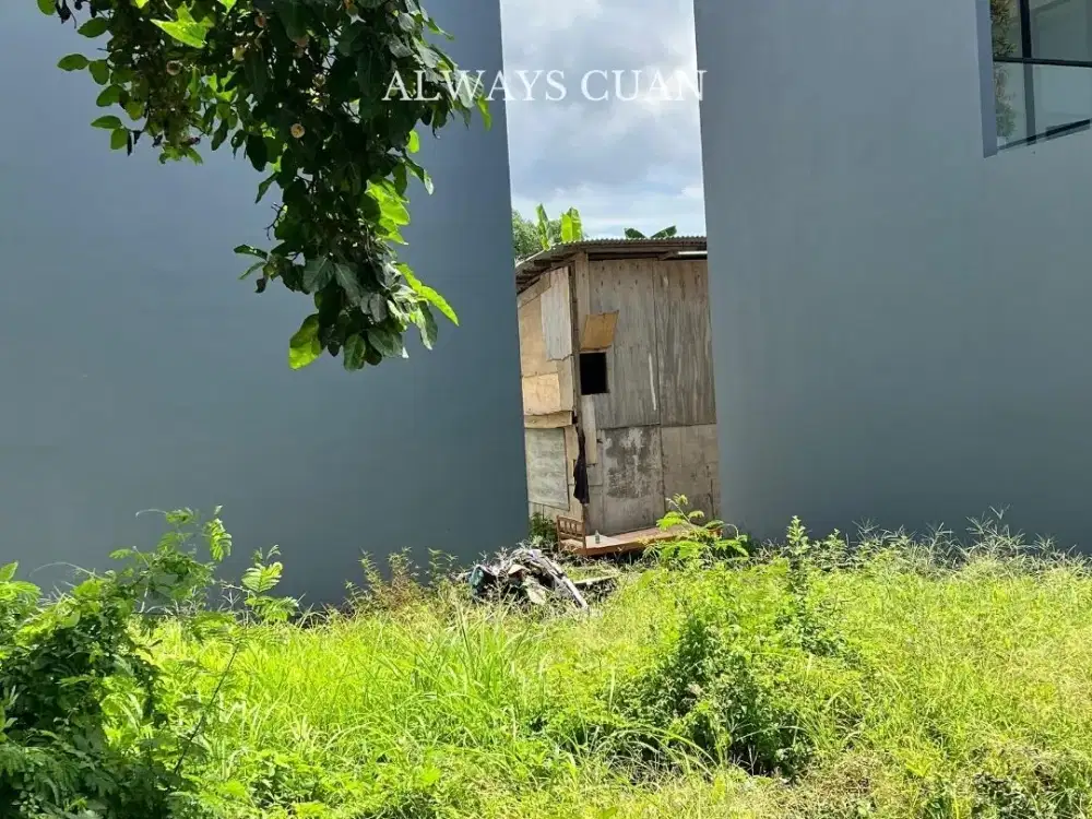 TANAH DATAR DIJUAL AREA DEKAT PANTAI BRAWA