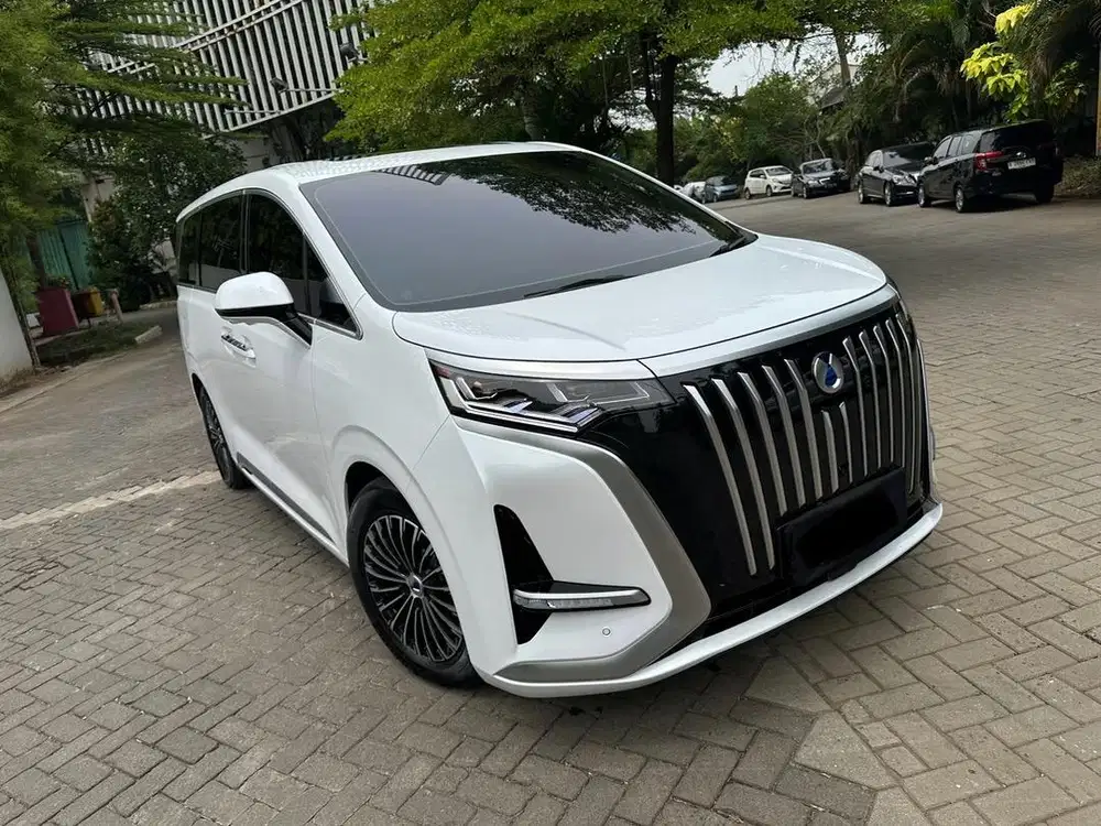 (CASH) Denza D9 EV thn 2025 like new