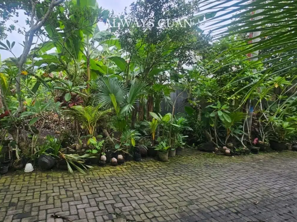 Tanah lingkungan villa siap dibangun, Canggu