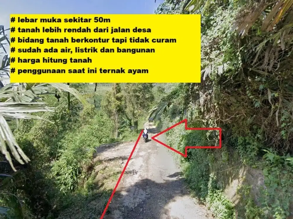 Dijual Murah Tanah Kebun Akses Mobil Shm Ada Listrik Bangunan Cikancana dekat Jalan Mariwati