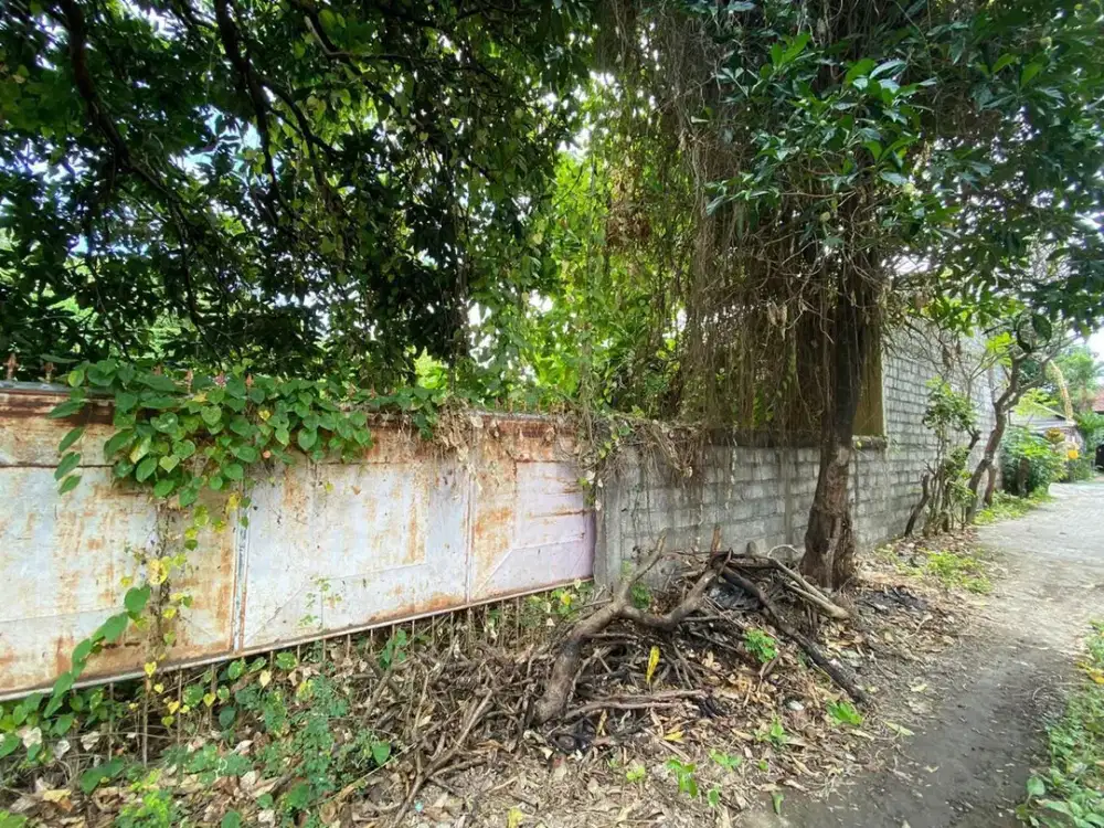 Jual Tanah Bagus Di Jalan Sidakarya Sesetan Denpasar Selatan Bali. Dekat Ke  Sesetan, Sanur Bali, Renon, Panjer.