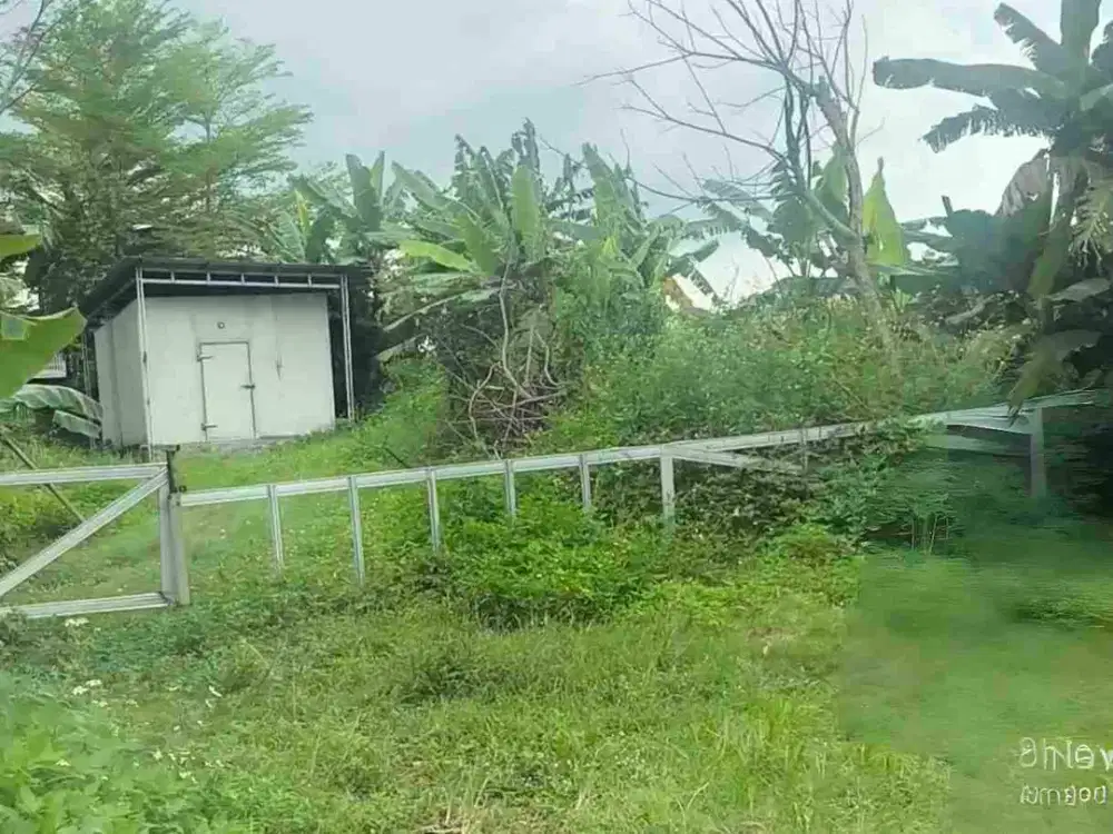 Sawah Murah bonus kandang kantor