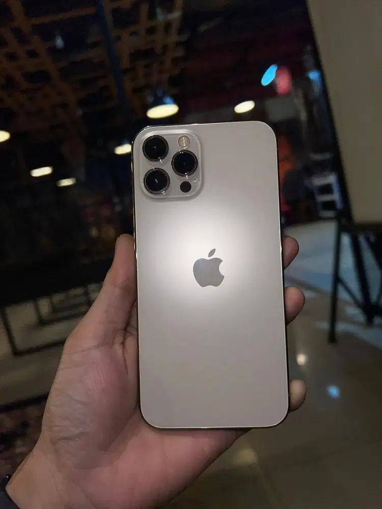 iPhone 12 PM 256 ex inter