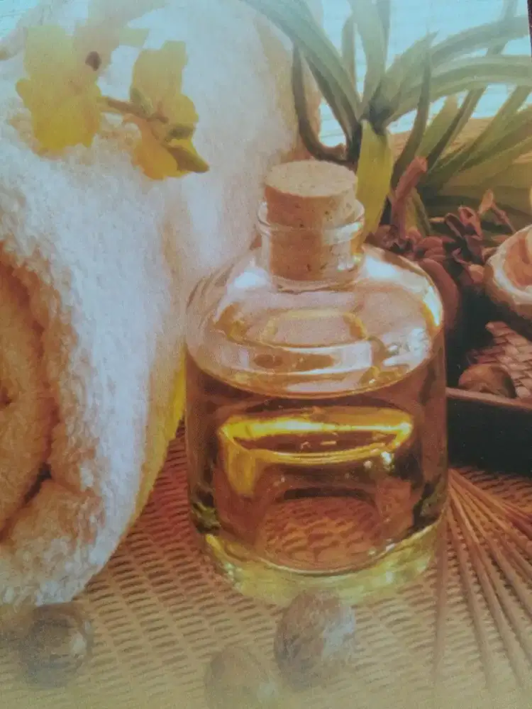 Di butuhkan therapist spa