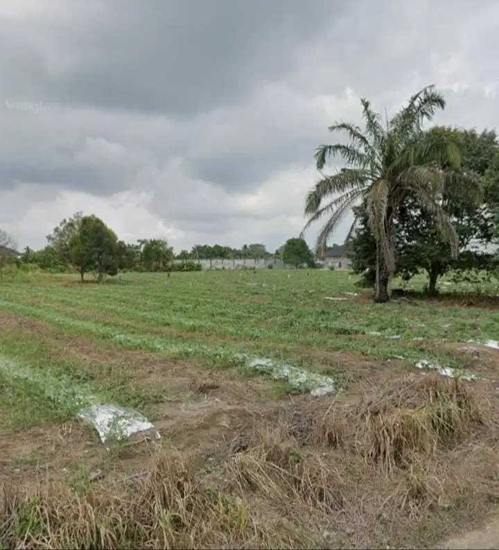 DIJUAL TANAH SHM DI LOKASI STRATEGIS (DEPAN RS. JANTUNG - RIAU)