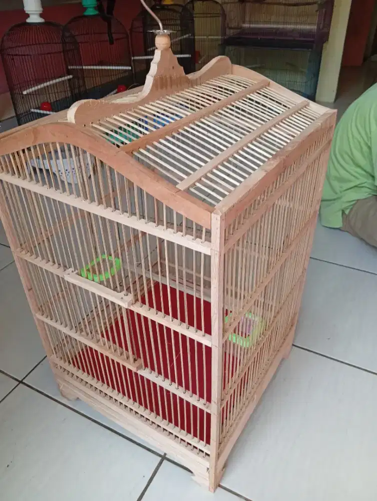 Sangkar kotak, dan jebak