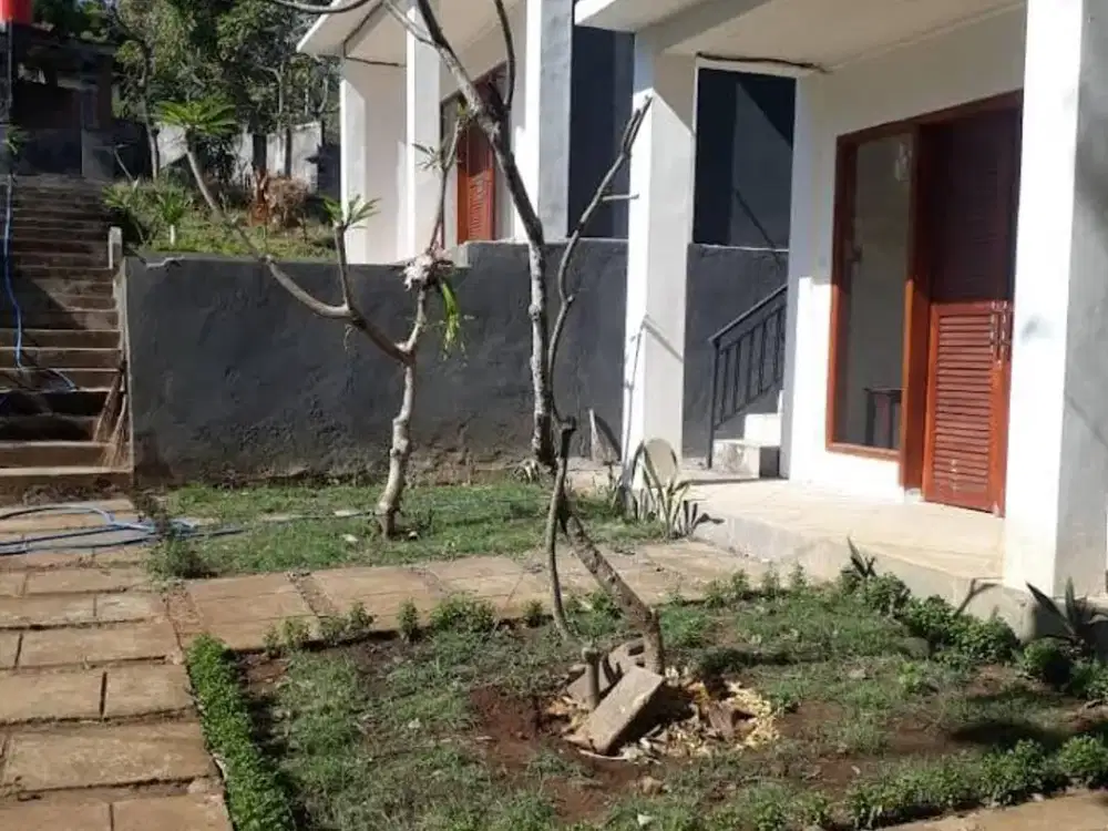 PENGINAPAN DIJUAL - 7BR - LOVINA, BULELENG