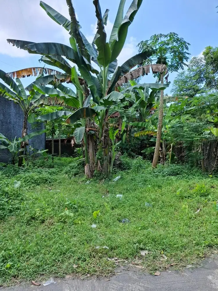 DIJUAL TANAH PEKARANGAN ISTIMEWA